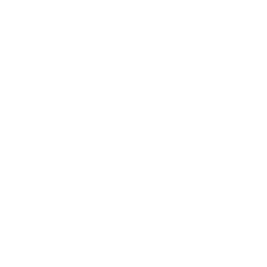 Linee Guida Rete Antiviolenza Livorno